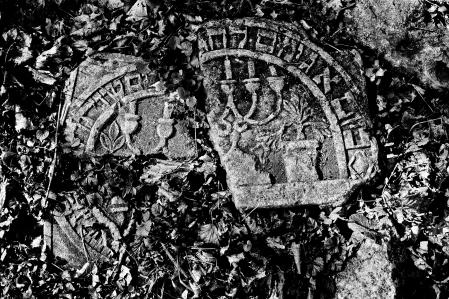 Jüdischer Friedhof Lwiw 2019 © Marcel- Th. Jacobs Jüdischer Friedhof Lwiw 2019 © Marcel- Th. Jacobs